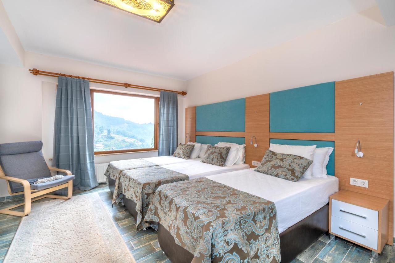Avena Mountain Hotel - Adults Only アランヤ エクステリア 写真